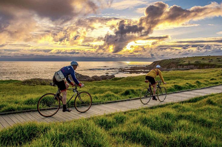 Sahil Yürüyüş Yolu ve Bisiklet Parkuru