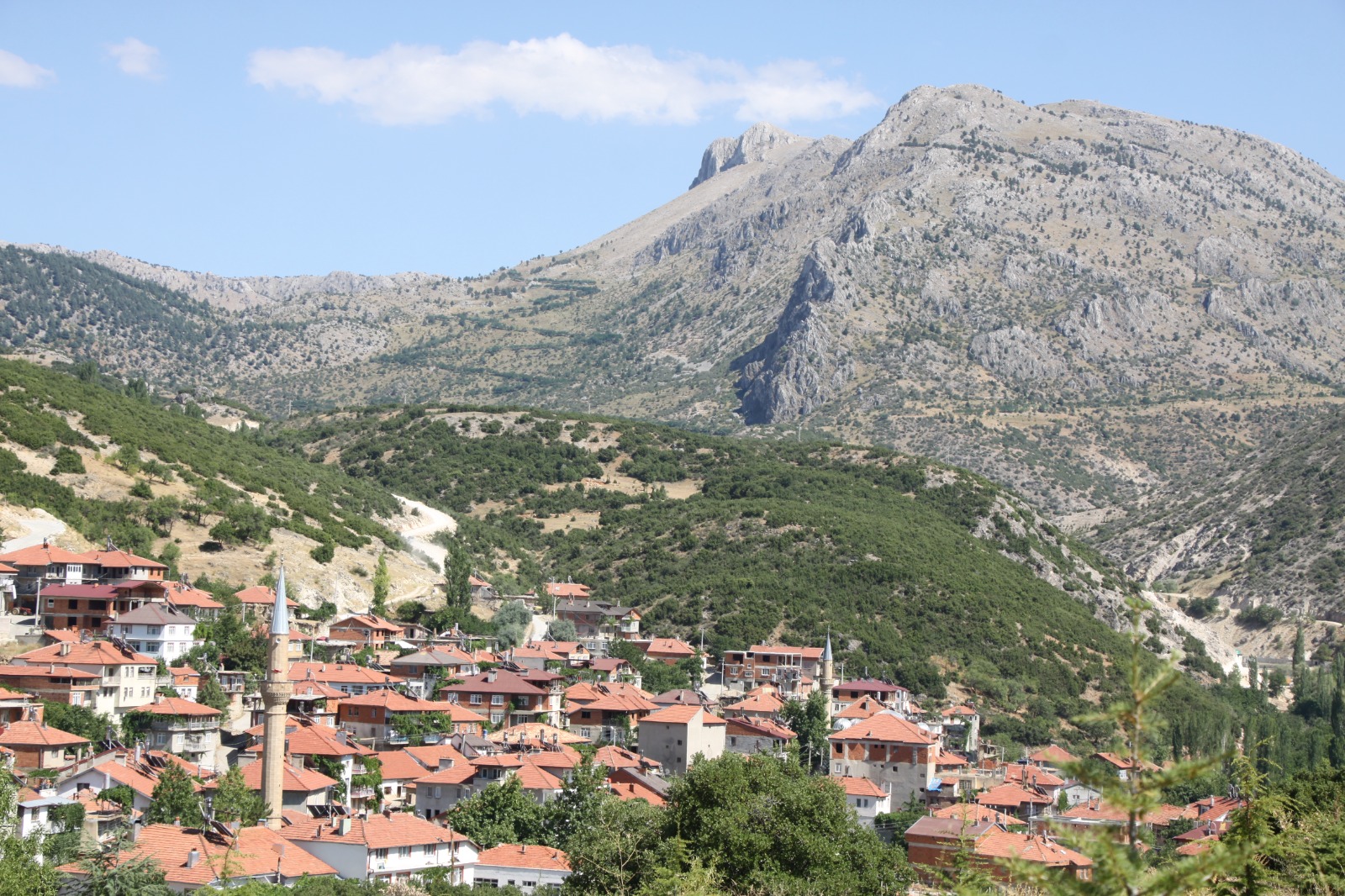 Belediye Fotorafları