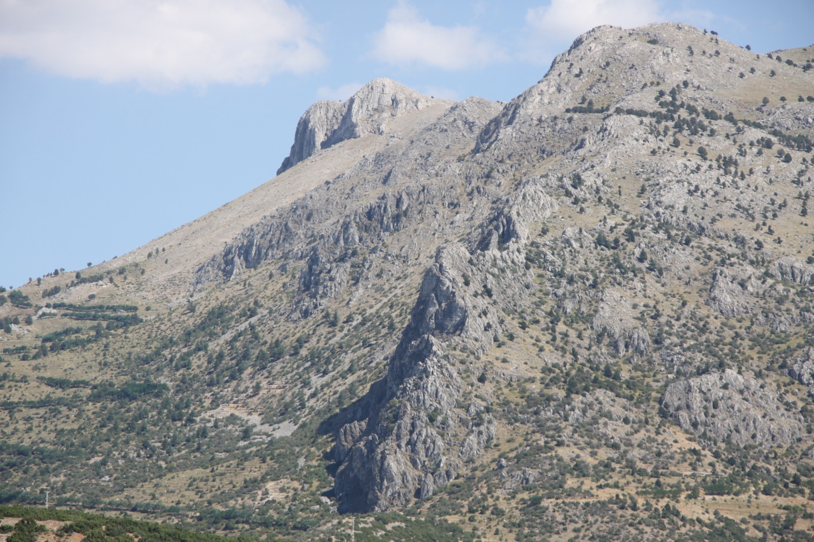 /images/78b17b1f-aa5f-45b5-a026-7d4ddfa3e3aa.jfif