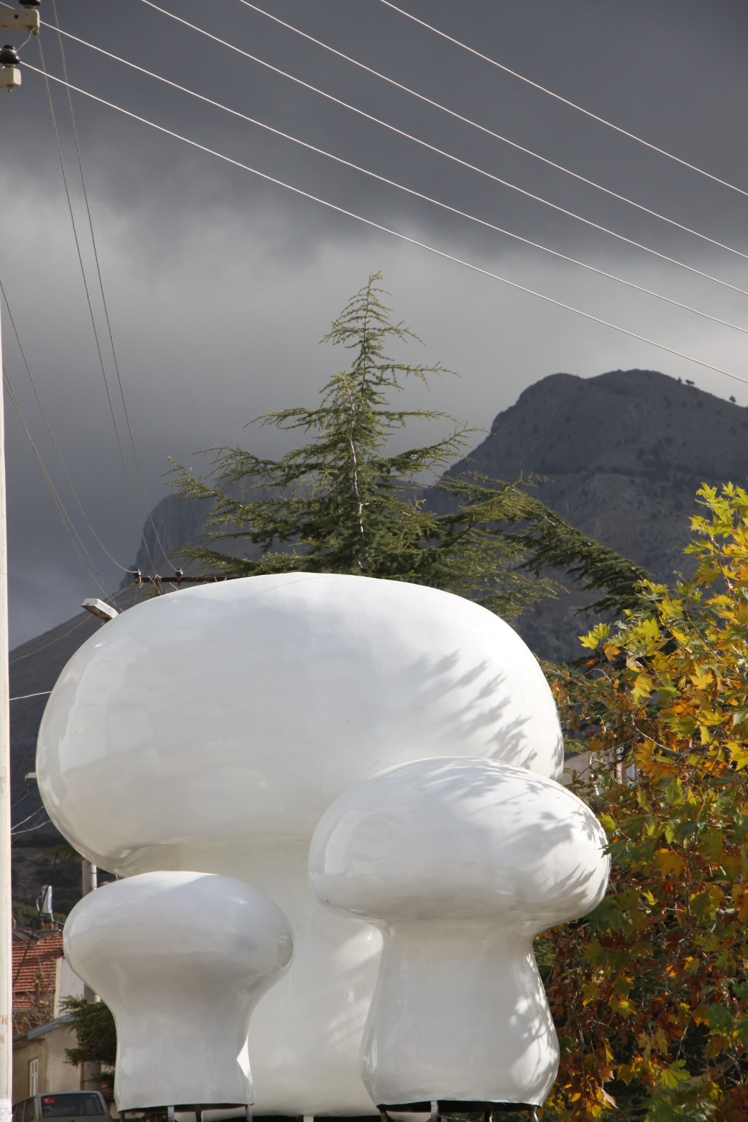 /images/a4b971e9-87f2-442a-b36d-2140112fccf3.jfif