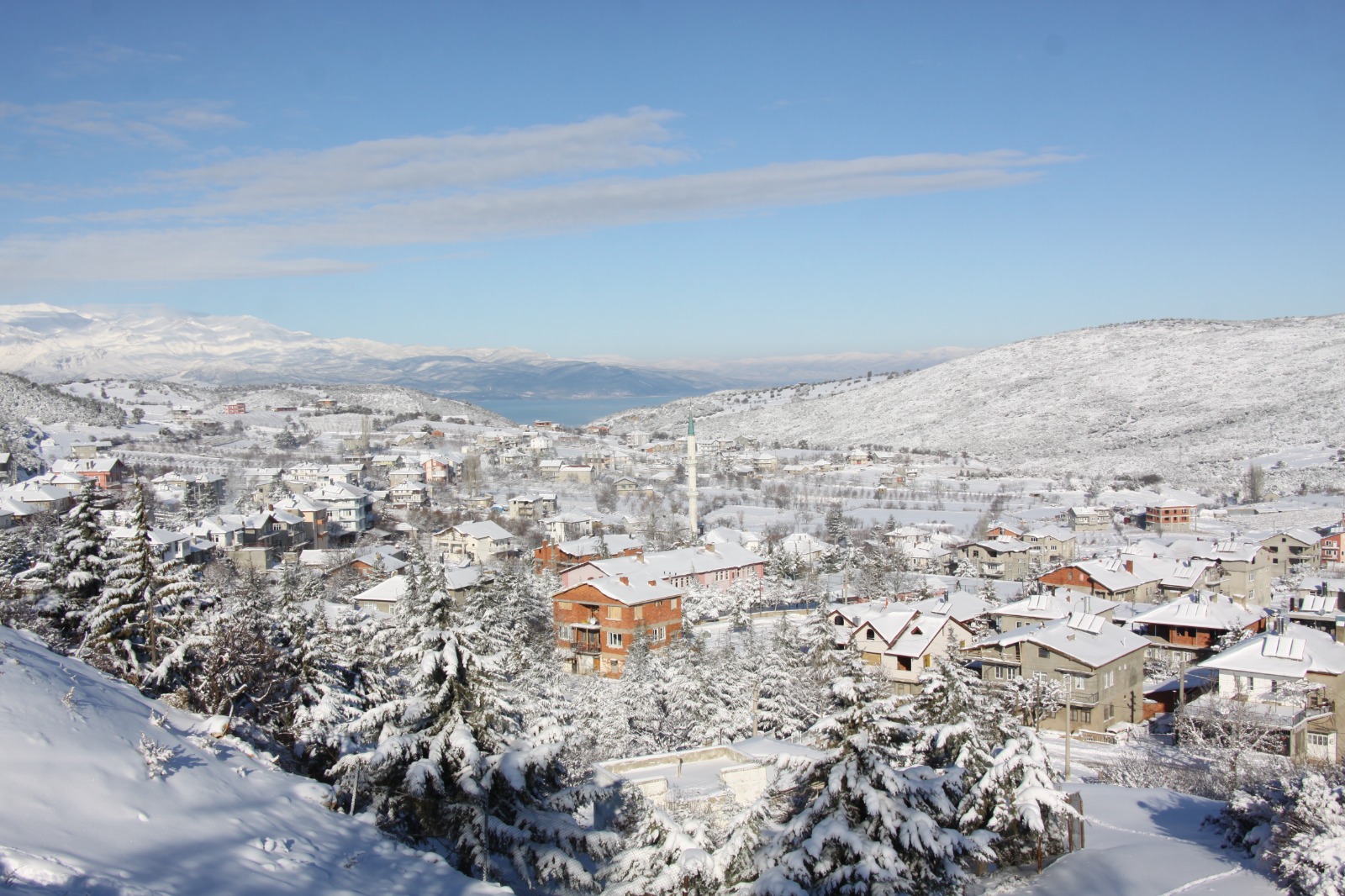 /images/bb57e967-ea11-477d-ab41-4cbfb175c535.jfif